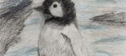 Pinguinkind
