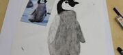Pinguin