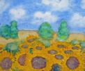 Sonnenblumenfeld